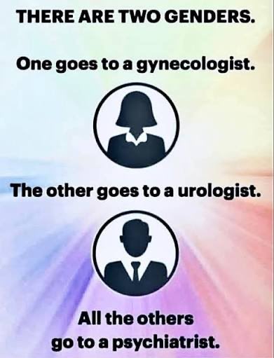 There are only two genders, male and female.