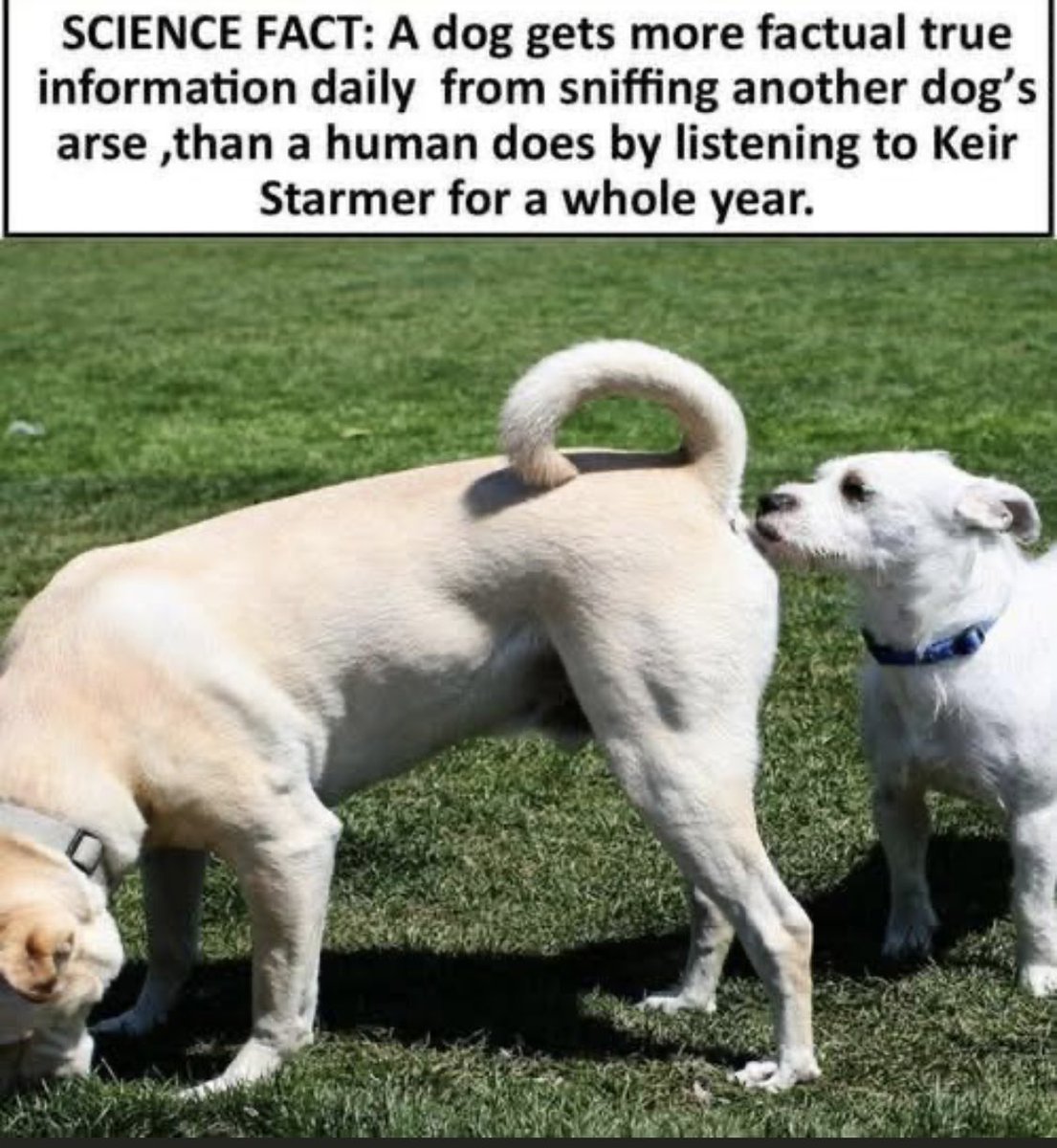 Just seen this scientific meme of truth