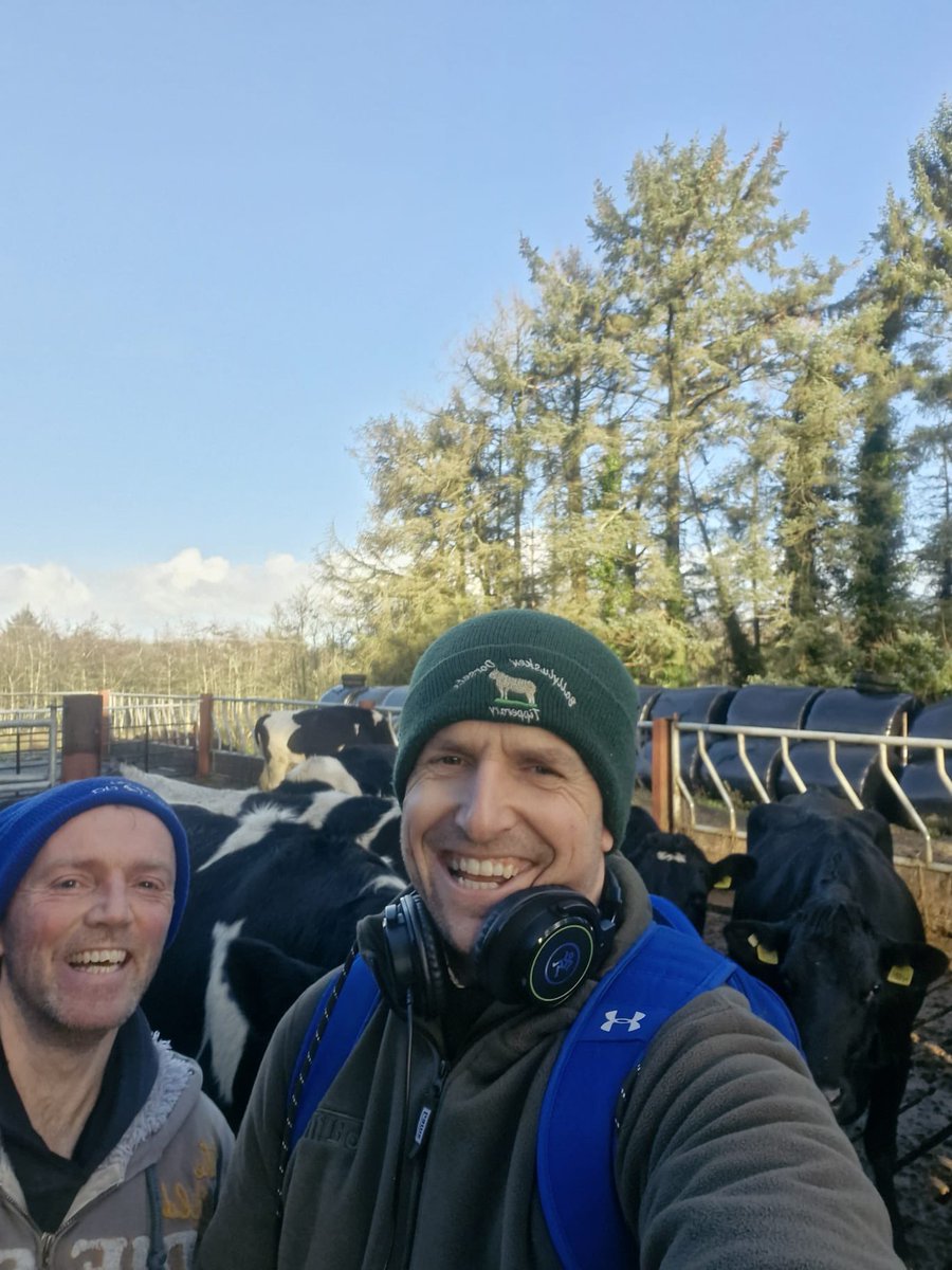 Kieran Sullivan tweet media