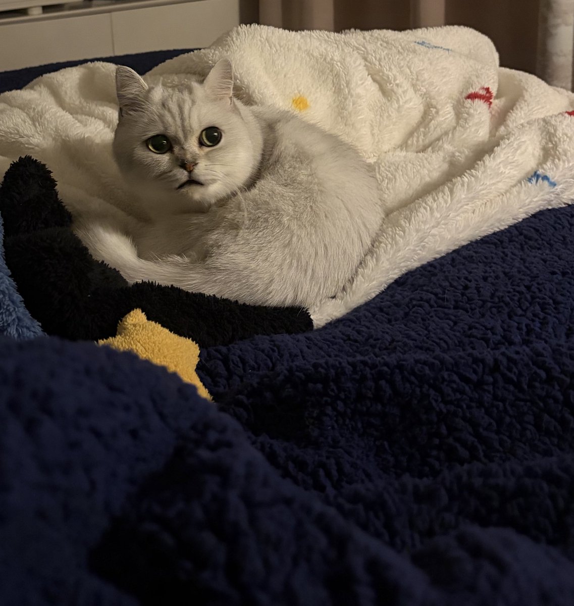 Kuaaakua tweet media