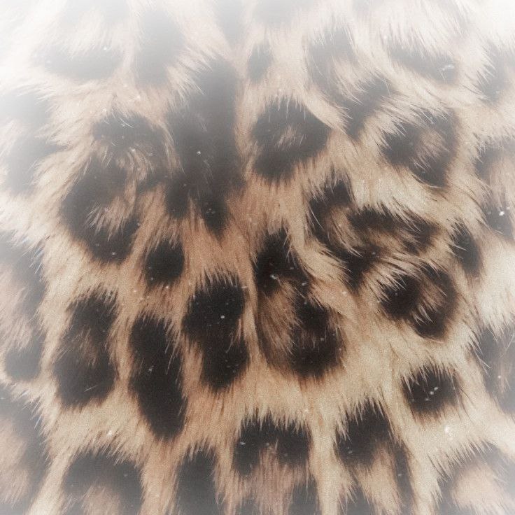 ⋆ 𐙚 ̊. tweet media