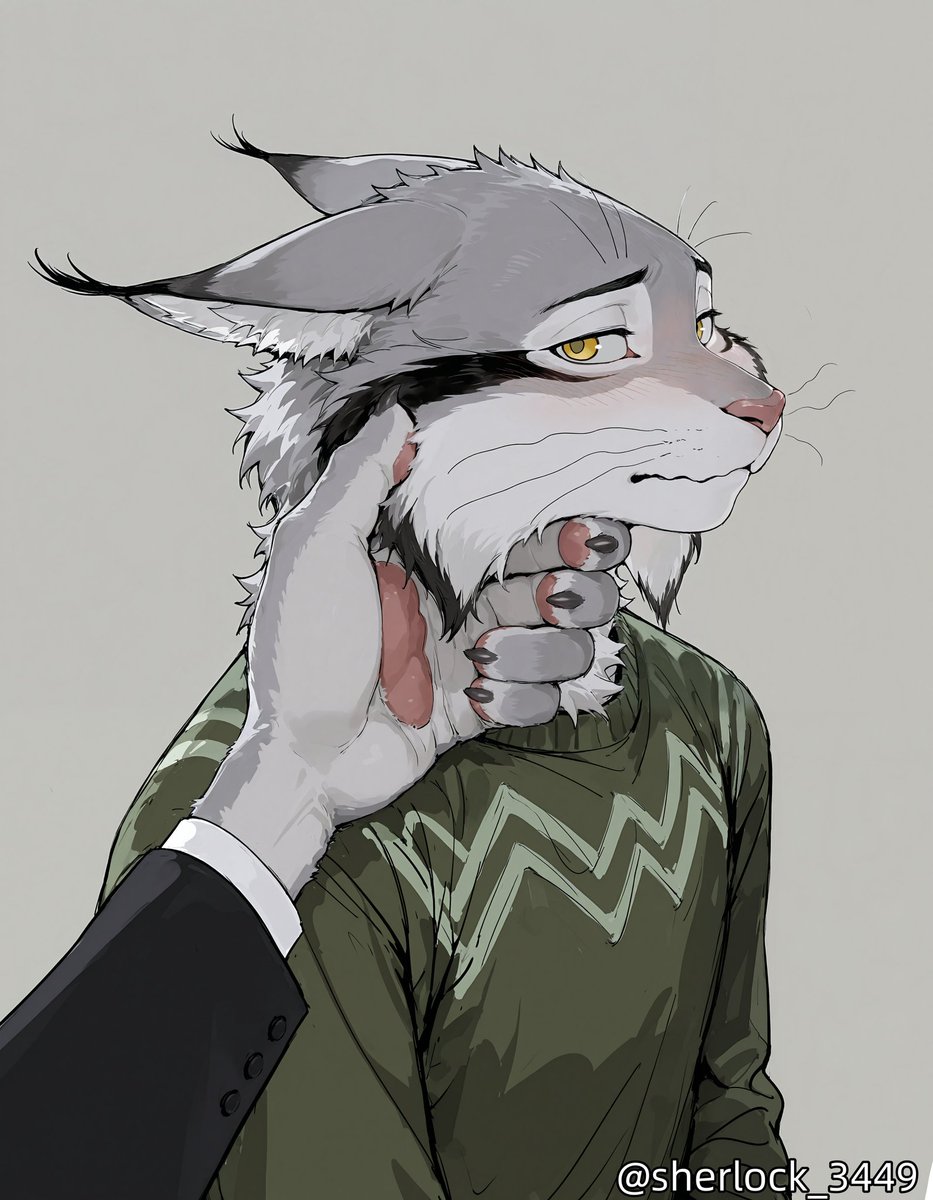 夏洛克 tweet media