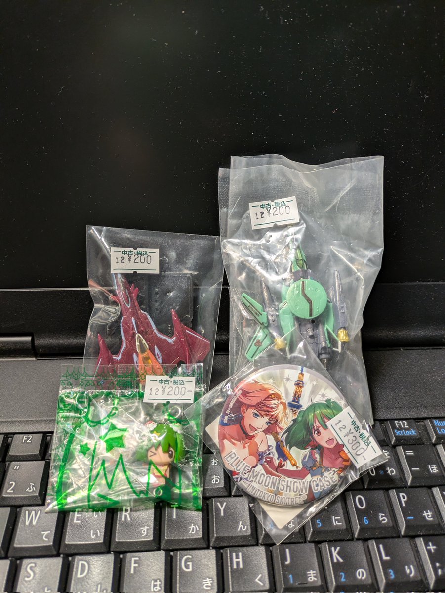 今日の収穫 このランカとシェリルの缶バッジ可愛いし絵の躍動感？が良い