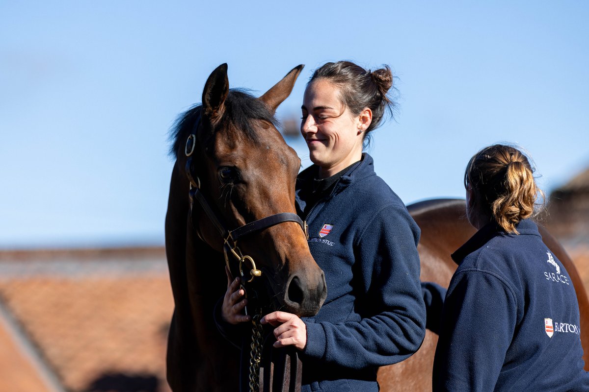 BartonStud1's tweet photo. 📸 Highlights from the 2025 Sale Season
Looking back on a fantastic sales season, where the team have been busy in the UK 🇬🇧, Ireland 🇮🇪, and France 🇫🇷
Thank you to our clients for their support, and our team for everything they do throughout the season
#BartonStud #SaleSeason https://t.co/8nkGTB8yHa