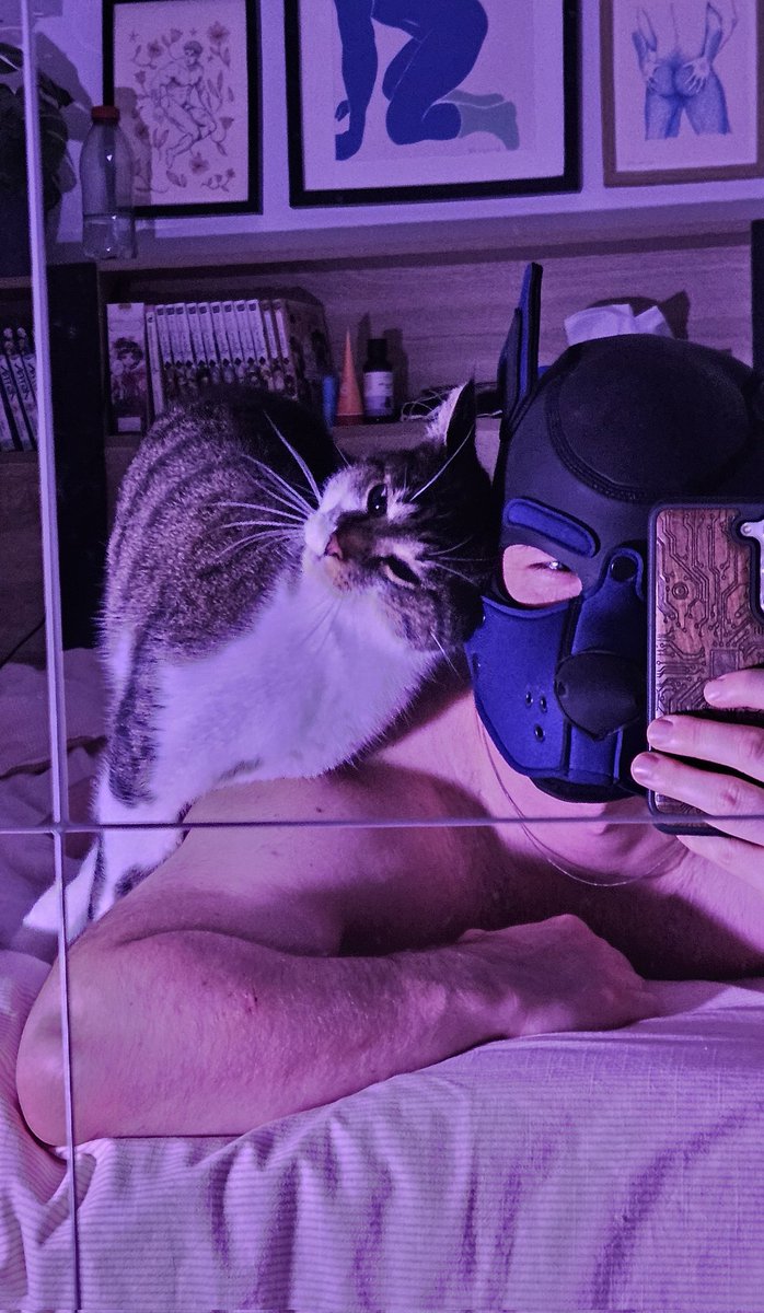 T'es plutôt chien ou chat ? 😌🐶
RT, commente et je te dm une photo en exclu 🔥
#gay #kinky #fetish #dom #sub #pupplay