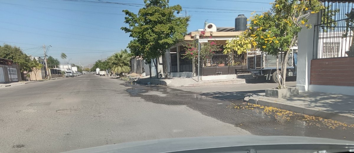 Francisco tweet media