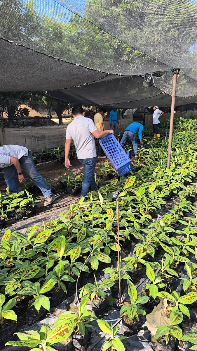 Eduardo Sánchez Timm tweet media