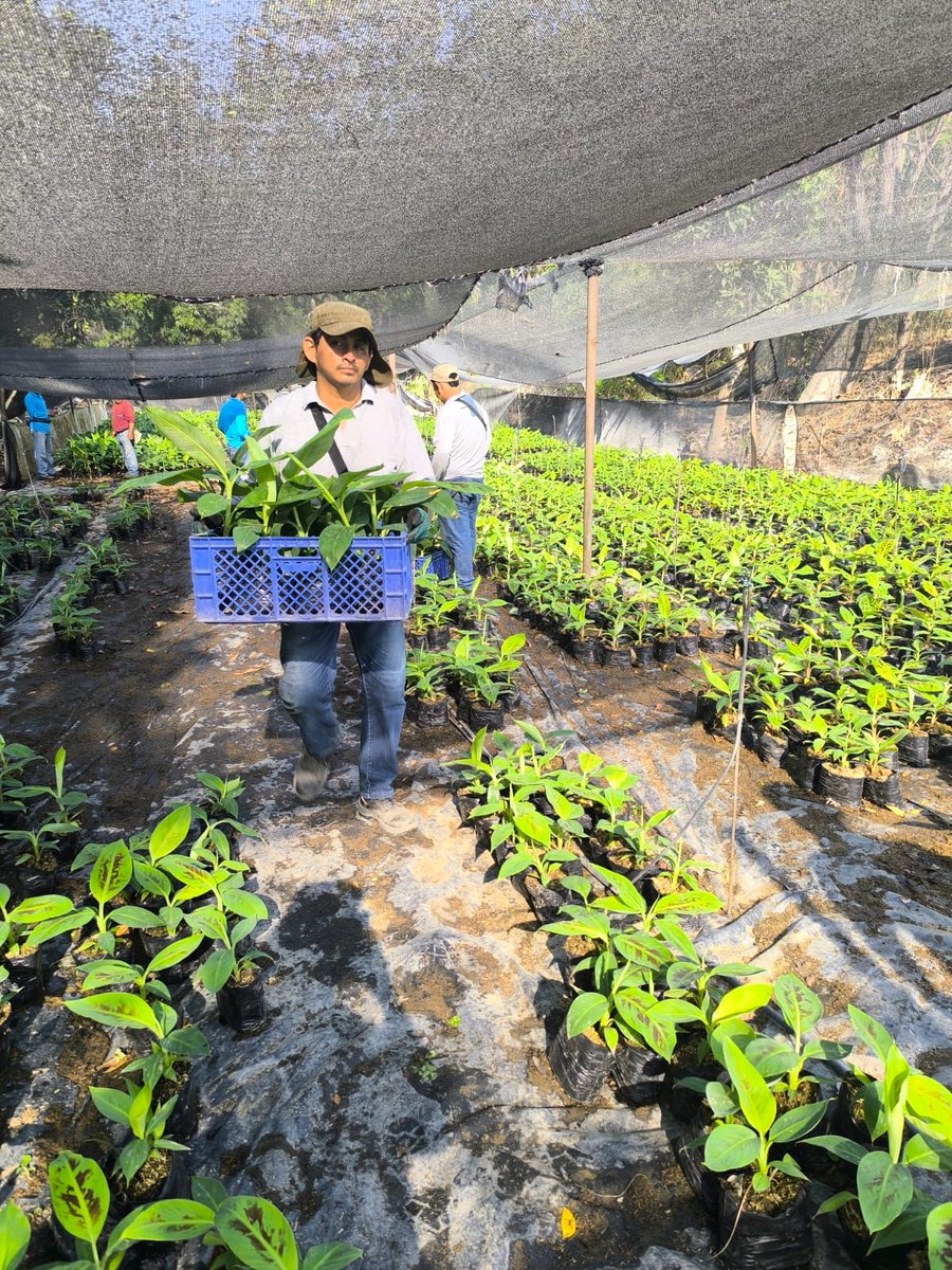 Eduardo Sánchez Timm tweet media