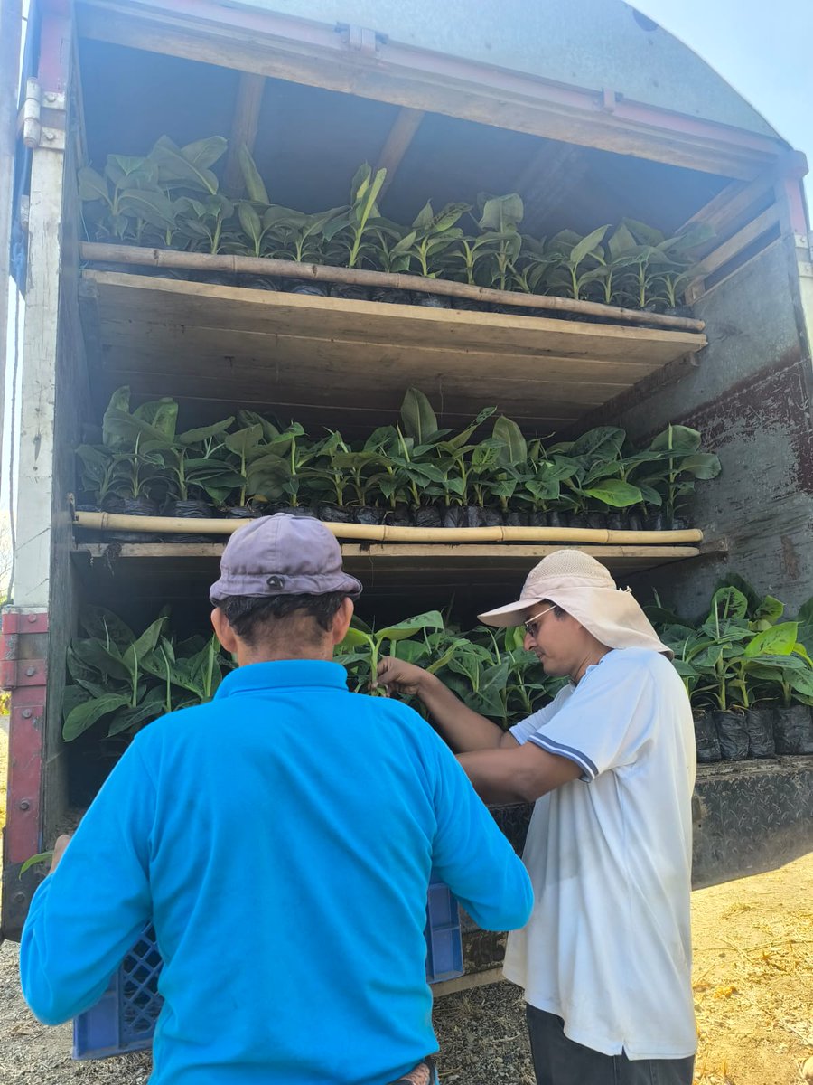 Eduardo Sánchez Timm tweet media