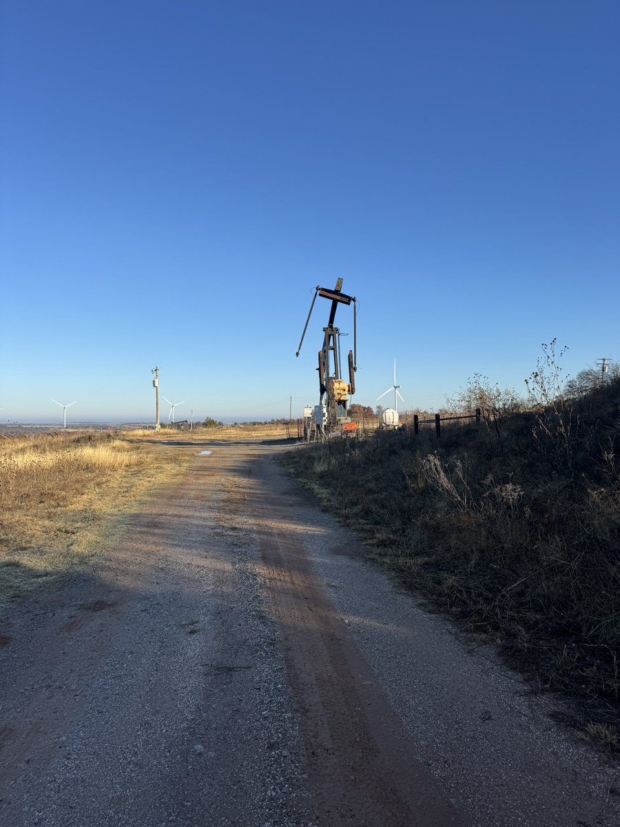 Marshall Hall tweet media