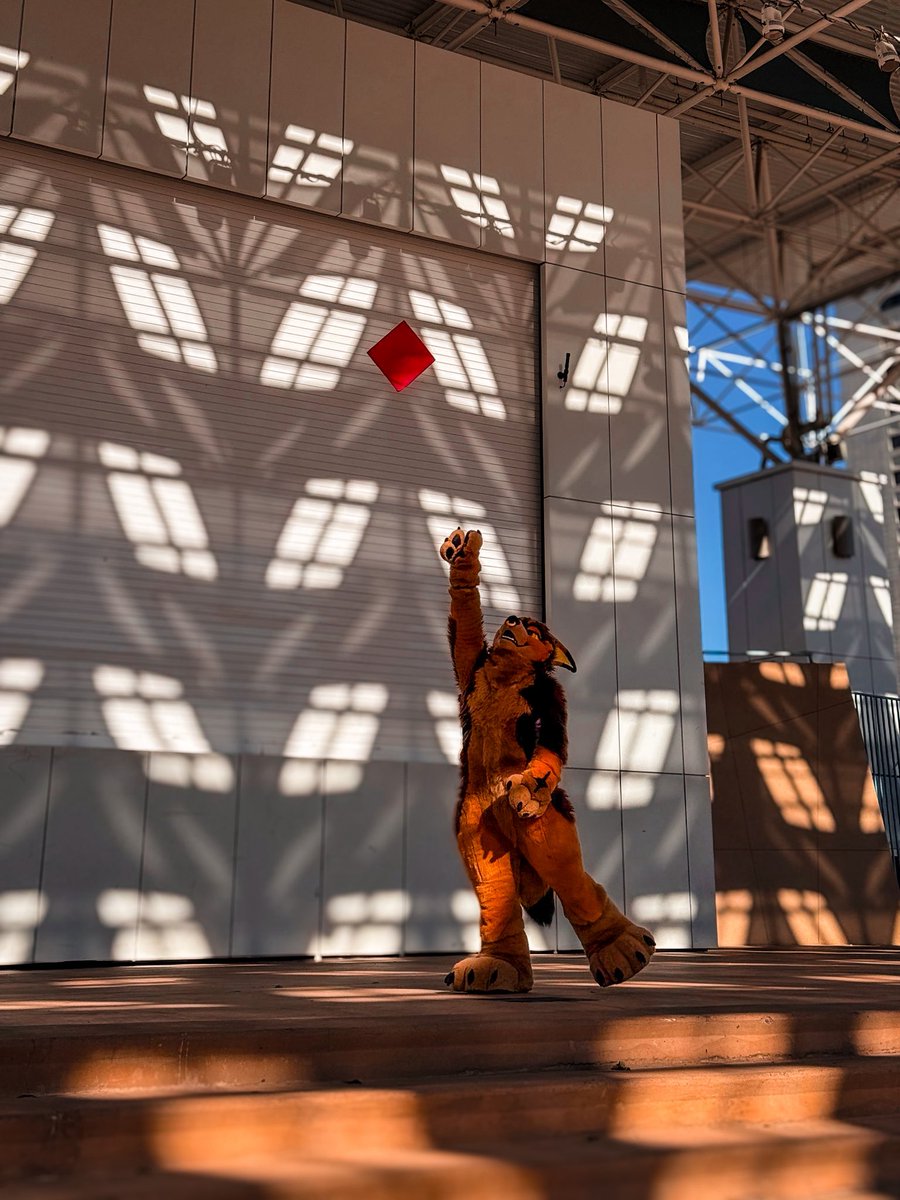 SAINT 𓃦 🔜 FWA tweet media