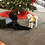Photo by Calgary Police Discovery Centre (@visitCPDC)
