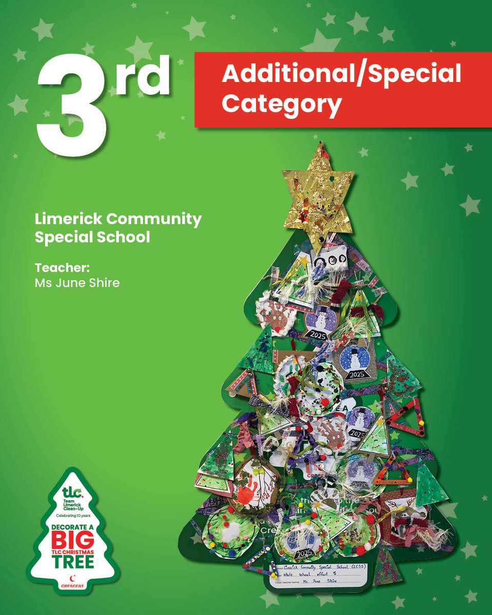 Team Limerick Clean-Up tweet media