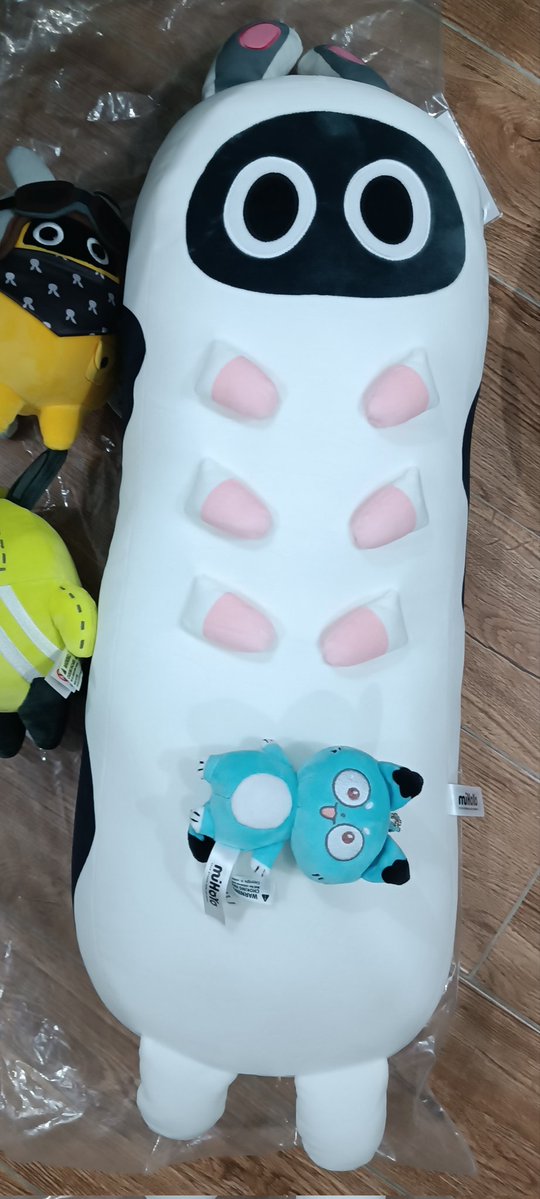 🌱 (@ranta000) / Posts / X