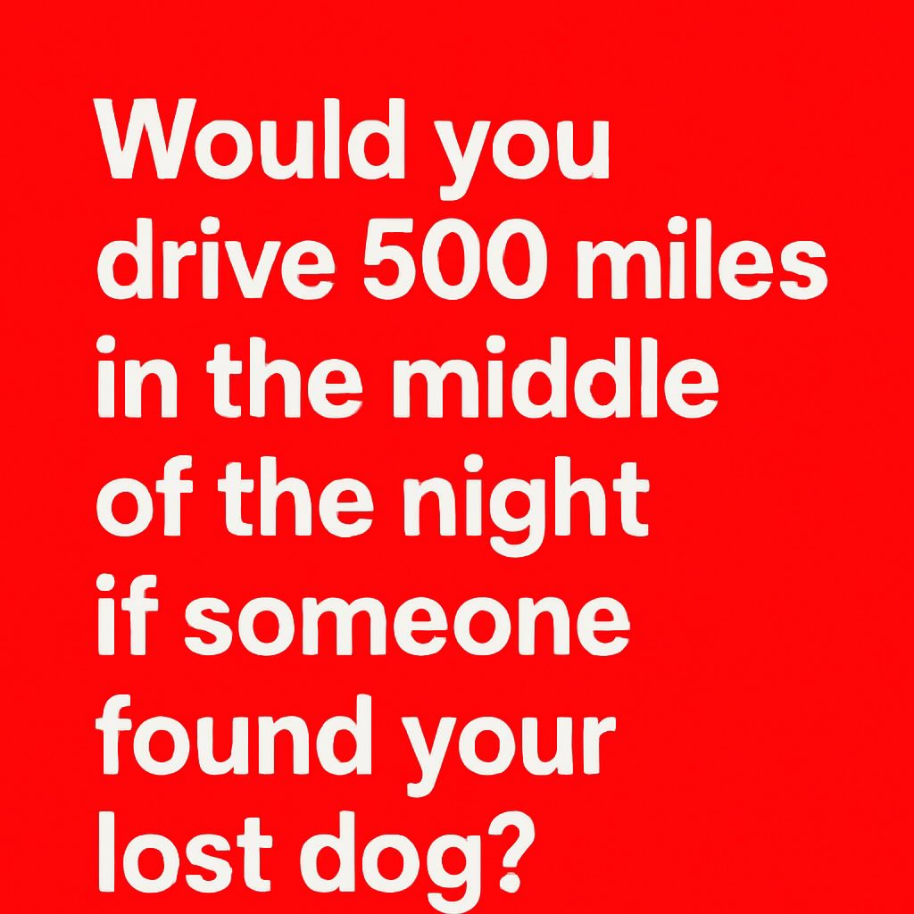 Phil Sledge tweet media