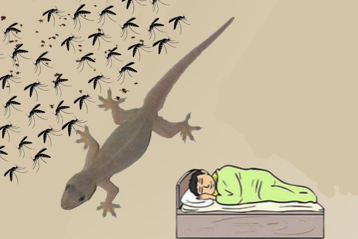 TheSarcastica's tweet image. Not all heroes wear capes