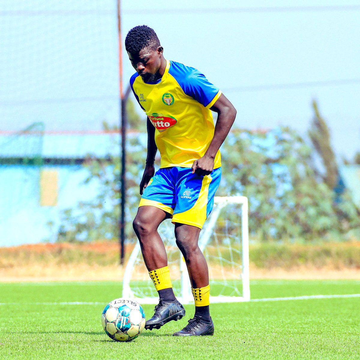 Ibrahim orit tweet media