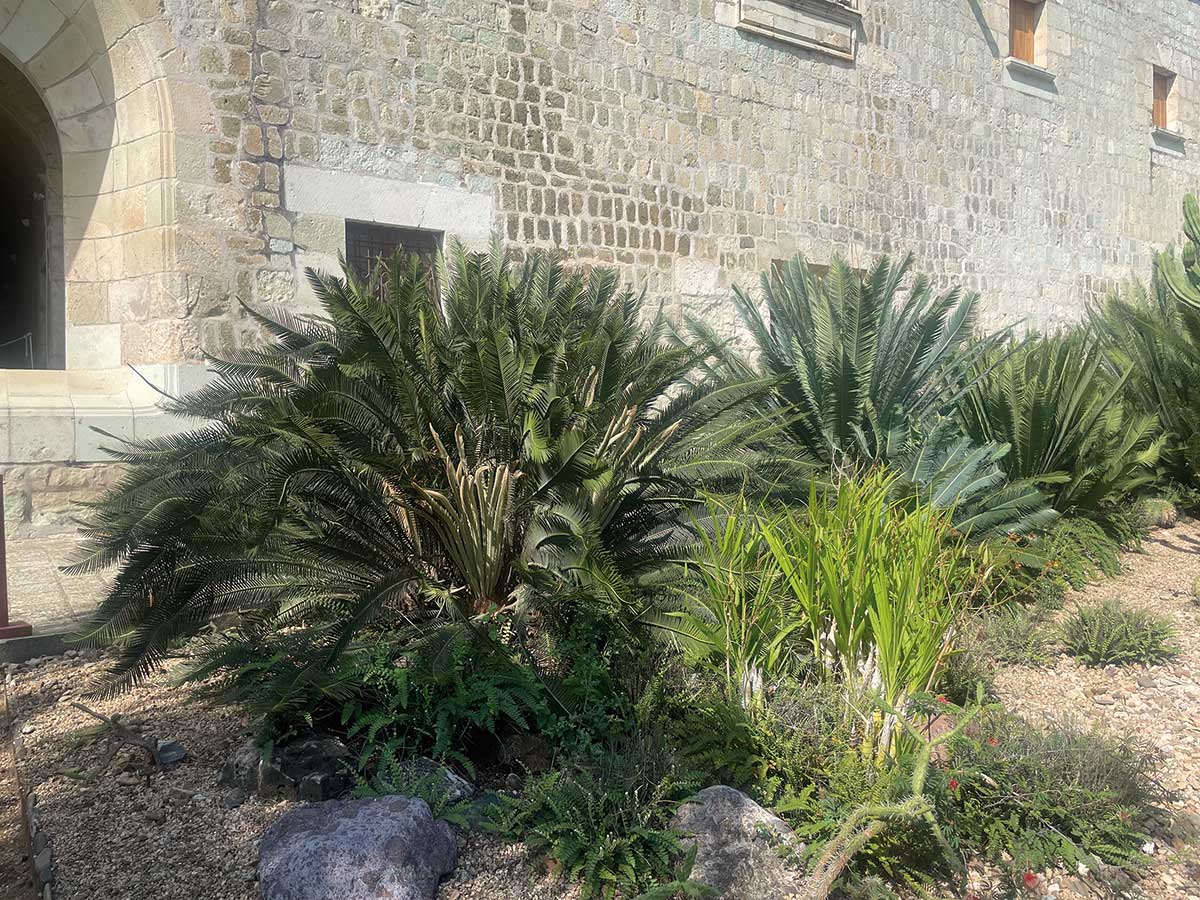 Revista de la Universidad tweet media