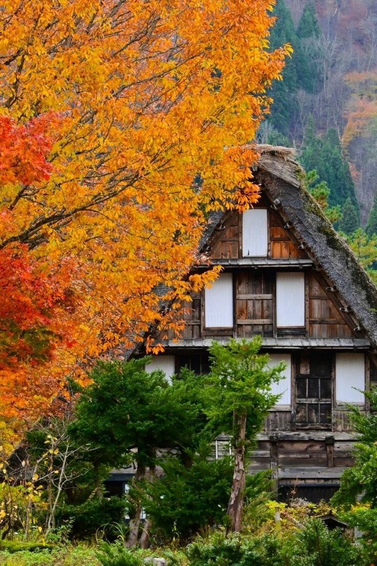 EmmaM9 (mutual follow) (@khon_can53894) on Twitter photo 