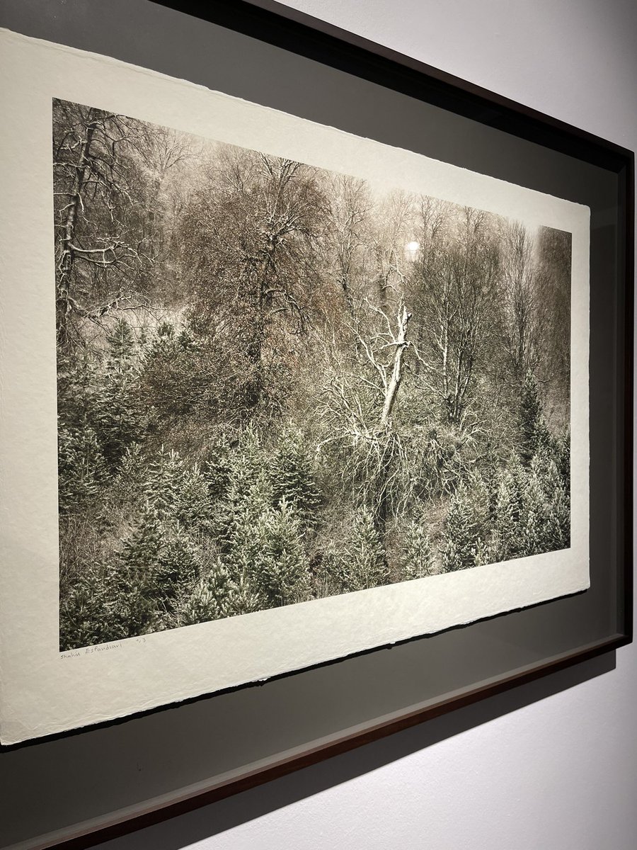 گالری ا ، چاپ دیجیتال روی کاغذ دست ساز