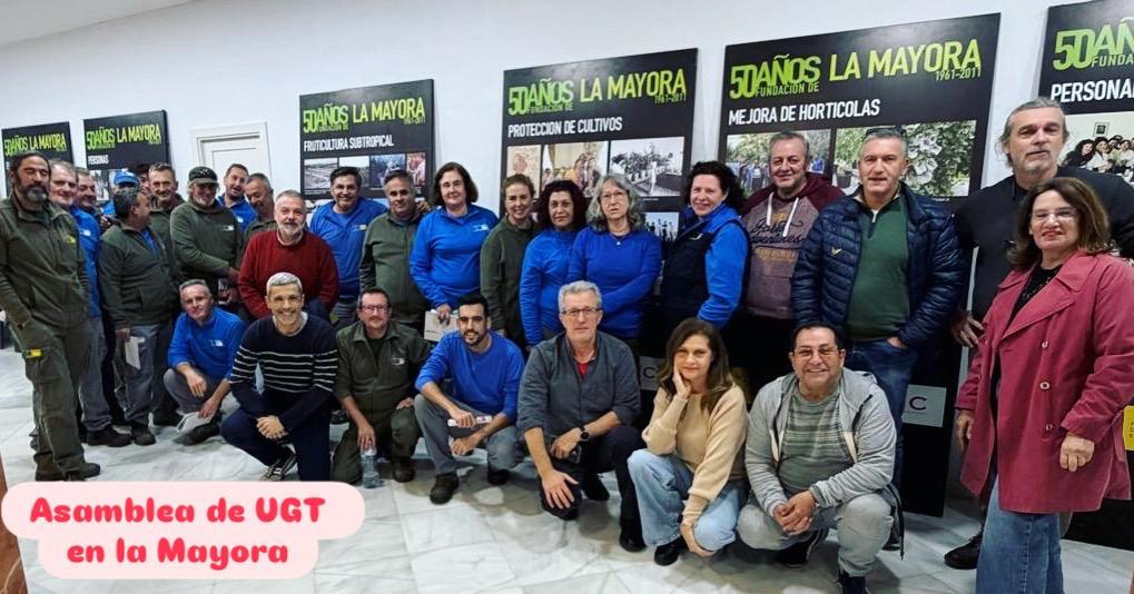 UGT Servicios Públicos Málaga tweet media