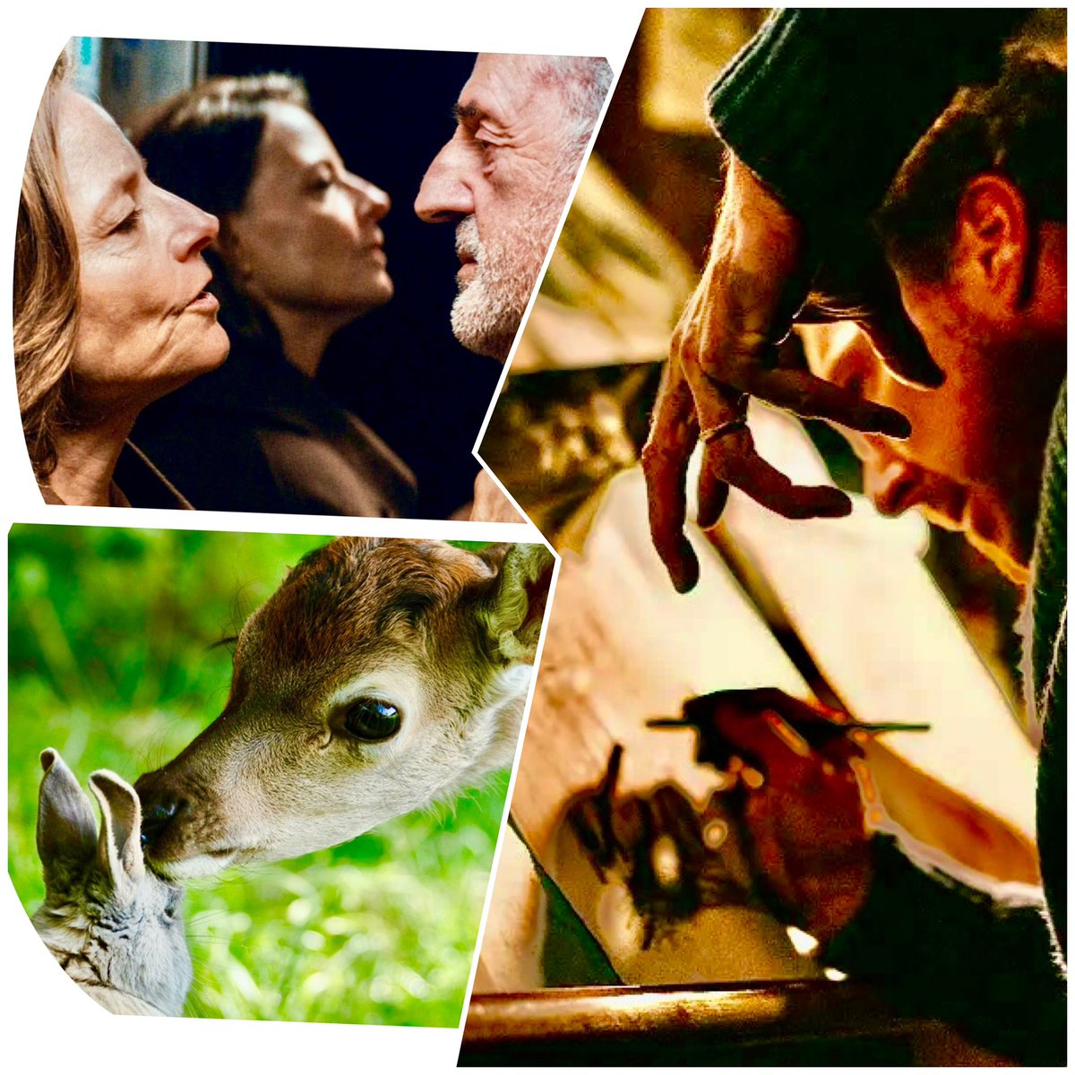 🔴 <a href="/Corriere/">Corriere della Sera</a> <a href="/7Corriere/">7 Corriere</a> #MarilynMag 🌍 la #CINEBUSSOLA 
🔴 #Bambi #GioiaMia #LOmbraDelCorvo #VitaPrivata #TheTeacher #UnInvernoInCorea #LuoinIIIIlFilmLaStirpeImmortale #UnaBattagliaDopoLAltra #IFantastici4GliInizi  #BridgetJonesUnAmoreDiRagazzo 
🔴 corriere.it/il-punto/extra… ⏰🎶