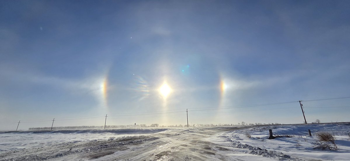 tundragopher's tweet image. My pet dogs say hello.   

Always #skiumah