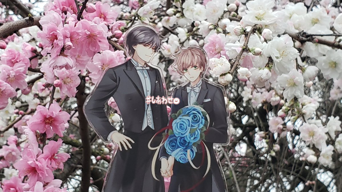 【中村春菊】　カレンダー 🎂中村春菊先生、お誕生日おめでとうございます🎁世界一初恋に出逢えて