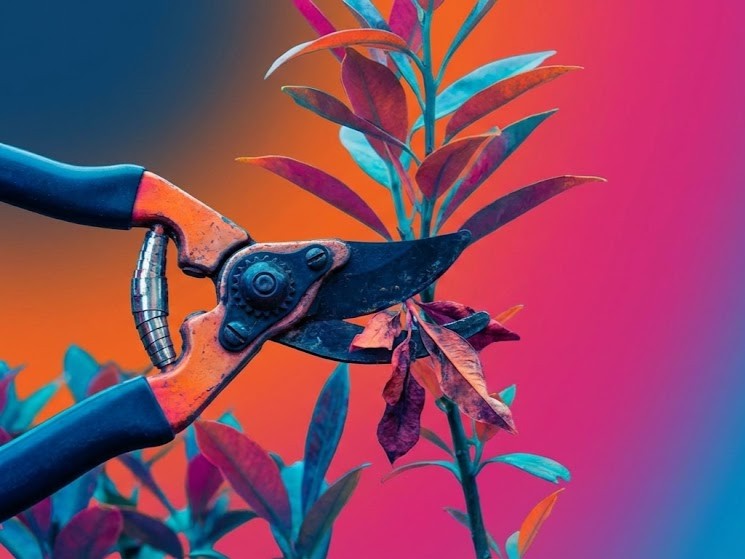 🤔 Many businesses focus on publishing new content but neglect the content they already own. A content audit is crucial for uncovering hidden opportunities and boosting your online presence. 📈

Want to unlock more value from your existing content? Get in touch with us today.