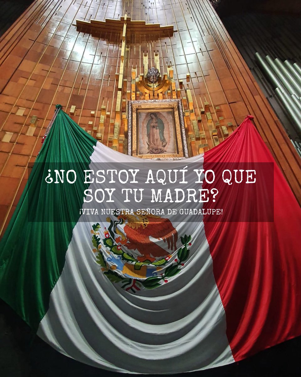 CarlRamirezA's tweet image. ¡Viva nuestra señora de Guadalupe!