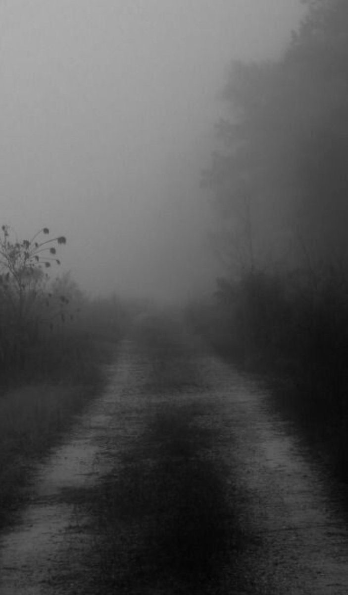 NIN75_'s tweet photo. The path....... https://t.co/BY9f0XKYK8