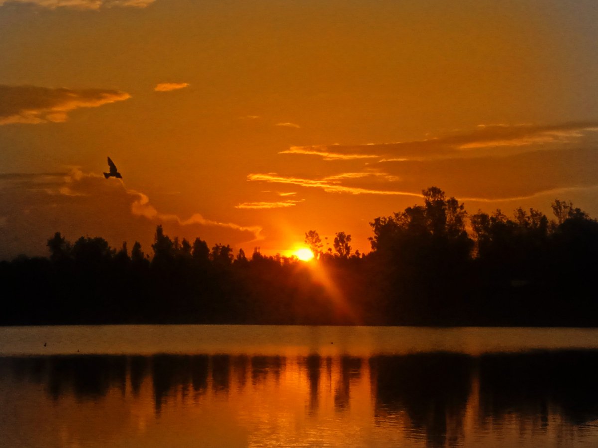 BRIMUCK♑ tweet media