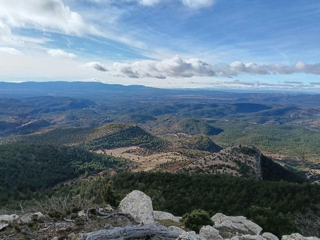 senderos montañosos tweet media