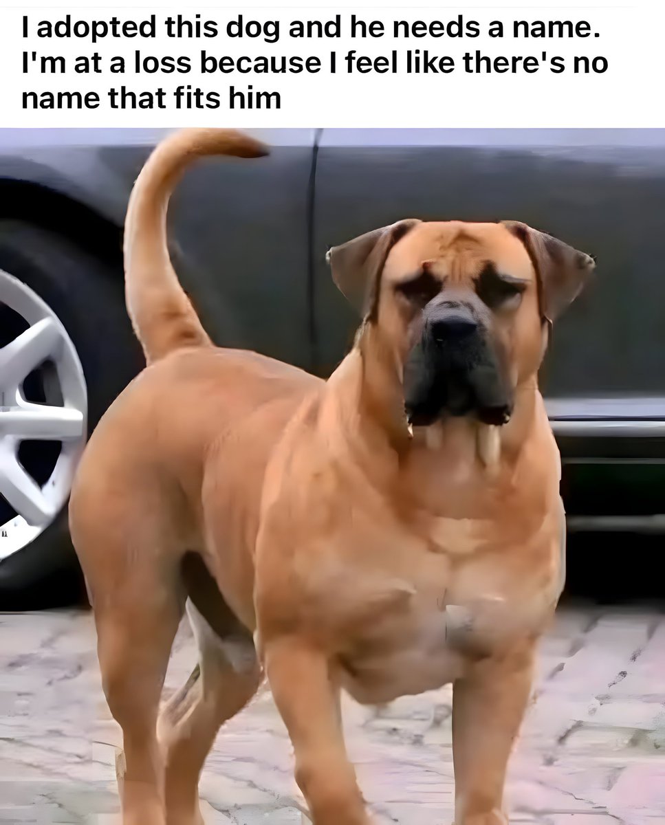 𝐌𝐚𝐭𝐭 𝐏𝐢𝐧𝐧𝐞𝐫 tweet media