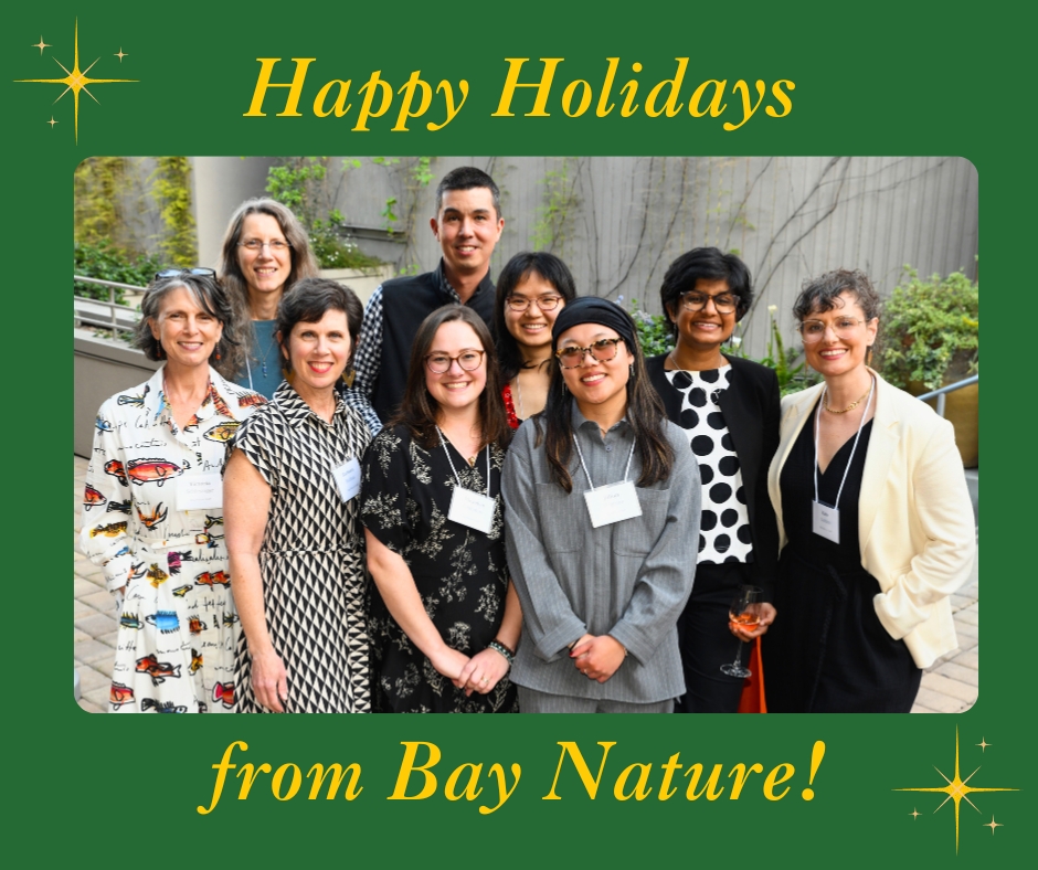 Bay Nature magazine tweet media