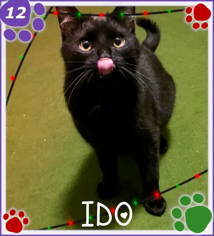 ✨ 𝓒𝓪𝓽𝓿𝓮𝓷𝓽 𝓓𝓪𝔂 1️⃣2️⃣✨

Goth both with a cute mlem face again~ 👁️👅👁️

Also we are half way to christmas already wooooo 🎄 

🍬Treat - Liquid Chicken (I honestly thought there was more than just liquids in this 😹)