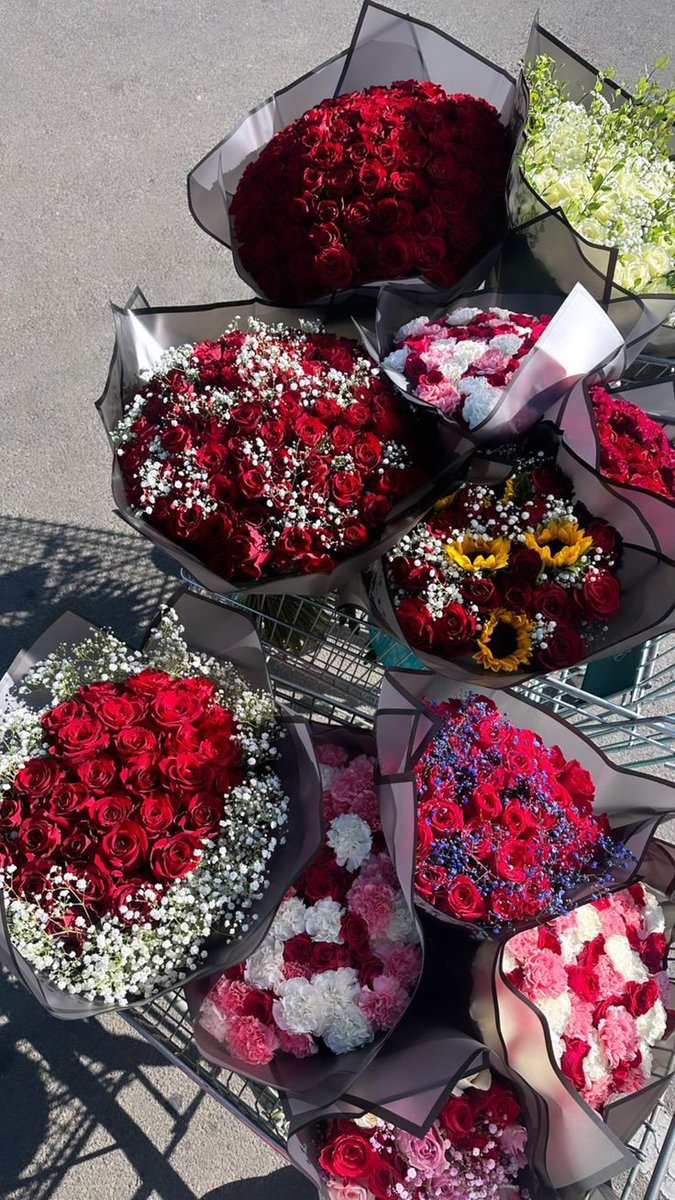 𝓣𝓱𝓮𝓑𝓵𝓸𝓼𝓼𝓸𝓶𝓢𝓽𝓾𝓭𝓲𝓸 (@phollukidukaan) on Twitter photo 