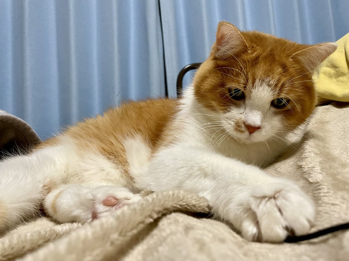 おきゃくさま！