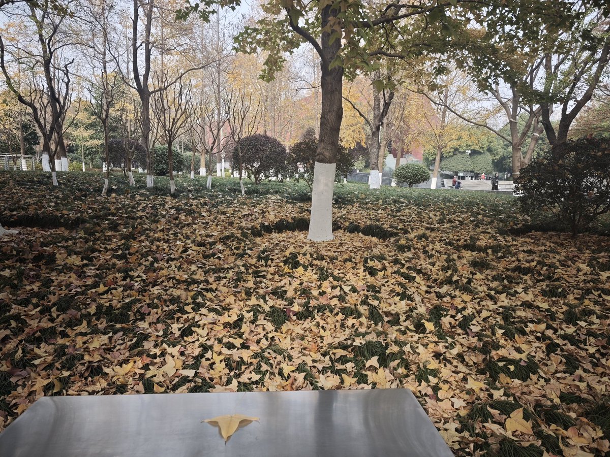 MklcpsC's tweet photo. 12月，看起来还是秋天 https://t.co/joQj3mO3XB