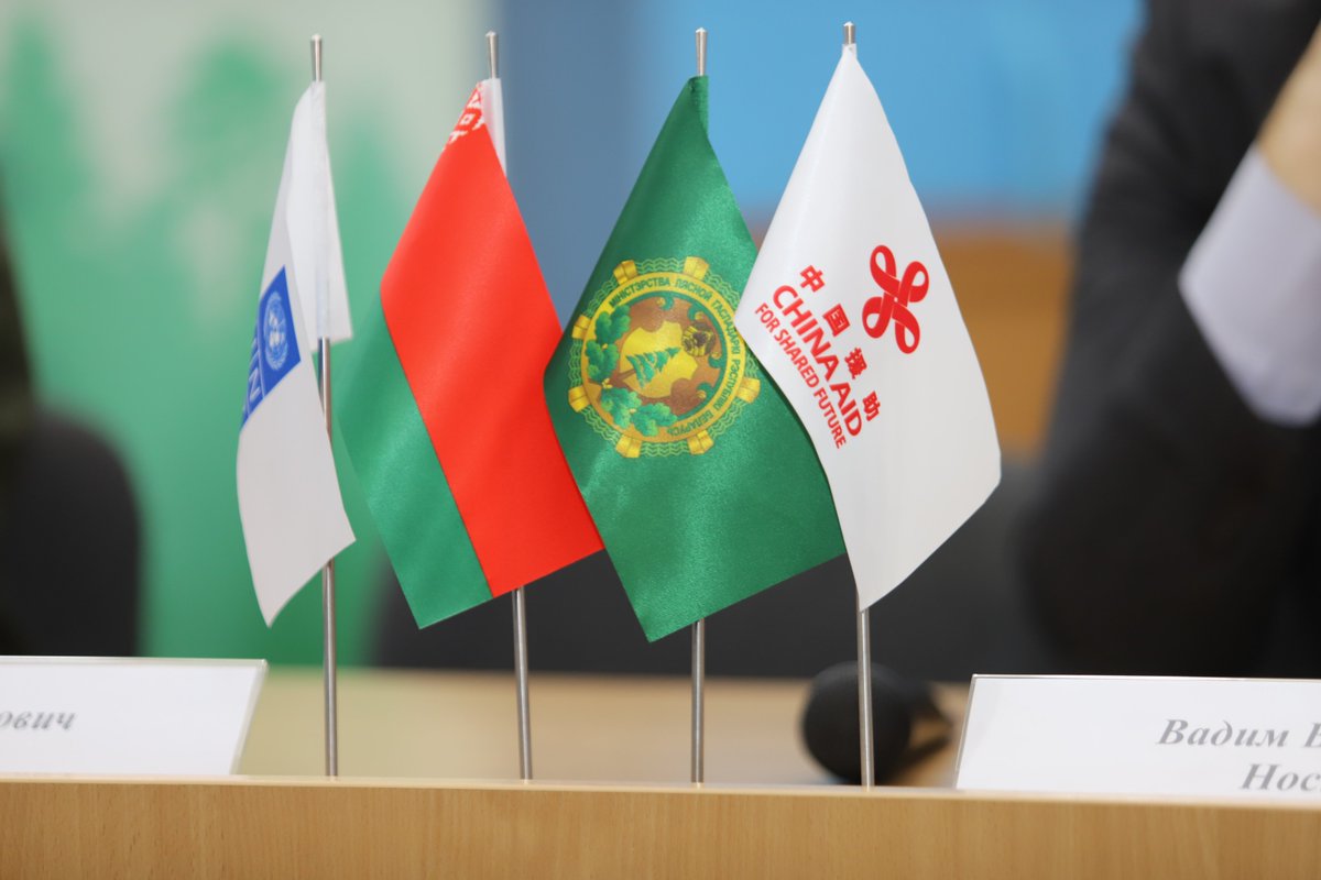 UNDP Belarus tweet media