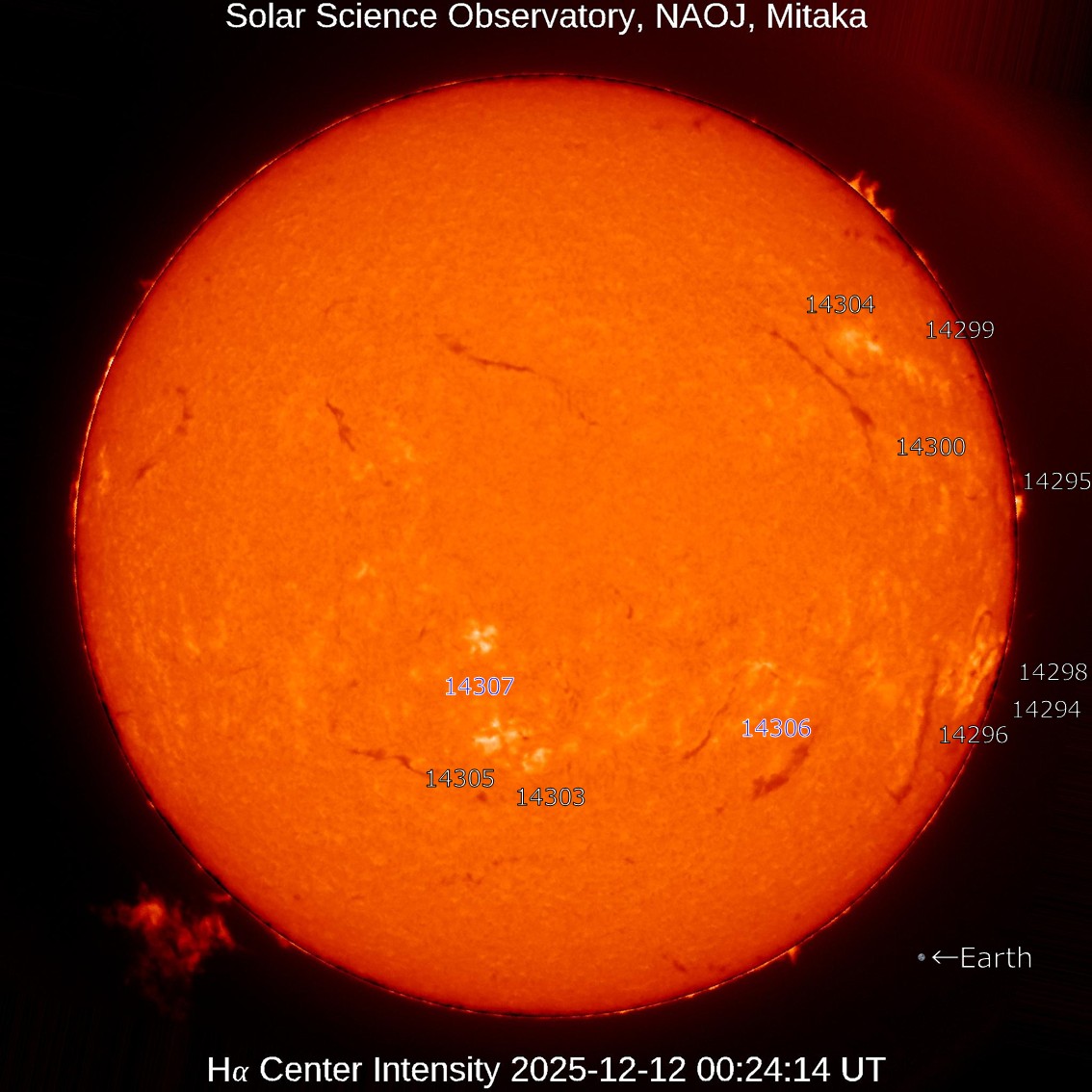 太陽 本日の太陽】2025-12-12のHα線全面像 活動領域14306,14307の2つが新た