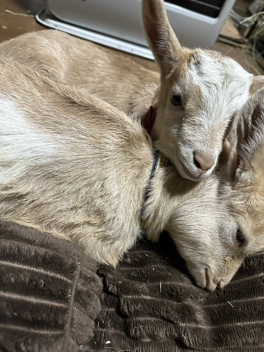 yama2341 Used tire export specialist 海外放浪家 (@yama2341