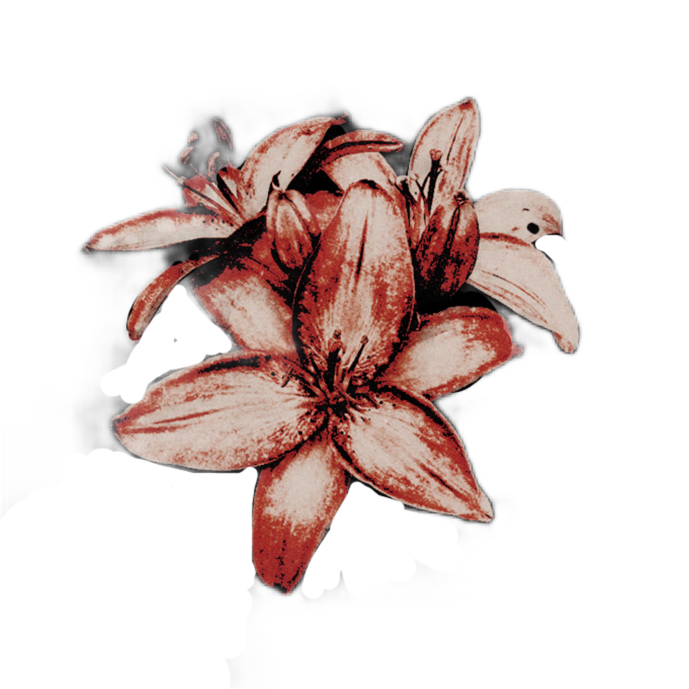 HONEYPOISES's tweet image. 