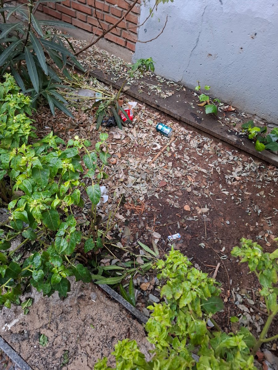 Es difícil de comprender esta dejación de funciones... Las jardineras de las escaleras de c/isla de Ons 2 siguen convertidas en basurero #Peñagrande 

<a href="/Lineamadrid/">Línea Madrid</a> <a href="/Mtnezparamo/">José A Mtnez Páramo</a> <a href="/JMDFuencarral/">Distrito de Fuencarral-El Pardo</a>