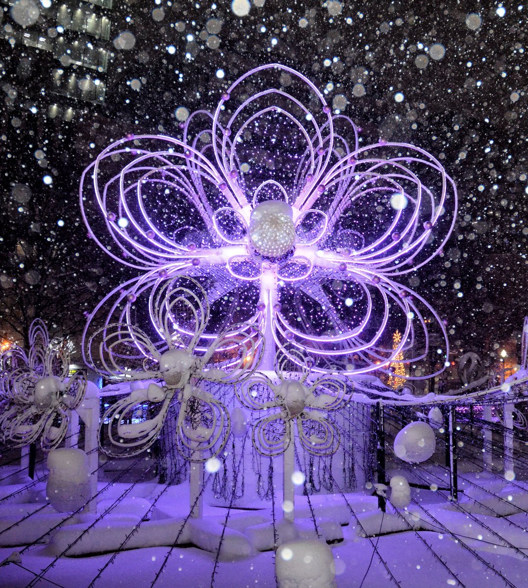 ゆみ(ゆみんご) (@y0129m1103k) / Posts / X