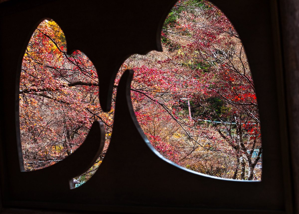 京都 白龍園
#写真好きな人と繫がりたい 
#写真撮ってる人と繫がりたい 
#京都好きな人と繋がりたい 
#京都 #京都の風景 
#京都の四季 #京都の秋
#京都よきかな
#京都の紅葉