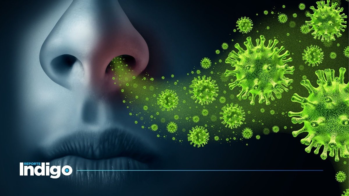 drrobertnunez's tweet photo. No estamos frente a un virus nuevo. En Paraguay circulan actualmente gripes muy fuertes que llegan a durar más de dos semanas en resolverse. Si bien no se trata de H3N2, los cuadros se parecen mucho en intensidad y han generado un aumento notable de consultas médicas por la severidad de los síntomas.

La llamada “súper gripe” #H3N2 hoy está afectando con fuerza a varios países de Europa. Si esta variante llega a Paraguay, podría impactarnos con mayor intensidad por un motivo claro: nuestra población no está vacunada. La desinformación sobre las vacunas ha provocado que la cobertura disminuya año tras año. Hoy contamos con vacunas seguras y disponibles contra la influenza, el dengue y otras enfermedades, pero gran parte de la gente no acude a vacunarse.

#H3N2 no es un virus desconocido. Es una variante que puede causar cuadros graves en personas vulnerables y generar presión hospitalaria cuando circula rápido. Pero lo que realmente preocupa no es el virus, sino lo que pone en evidencia: sistemas de salud frágiles, saturación ante brotes respiratorios y una población que no está protegida por falta de información confiable.

Cuando un país enfrenta crisis sanitarias por gripes estacionales —por fuertes que sean— queda claro que la prevención falló. No se fortalecieron los hospitales, no se mantuvieron campañas eficaces y, sobre todo, no se combatió la desinformación que desalienta a la población a vacunarse.

En resumen:
La gripe no cambia tanto; lo que cambia —y nos expone— es la ausencia de vacunación y la falta de preparación. La “súper gripe” puede ser una amenaza mayor en Paraguay, no porque sea nueva, sino porque no estamos adecuadamente protegidos.