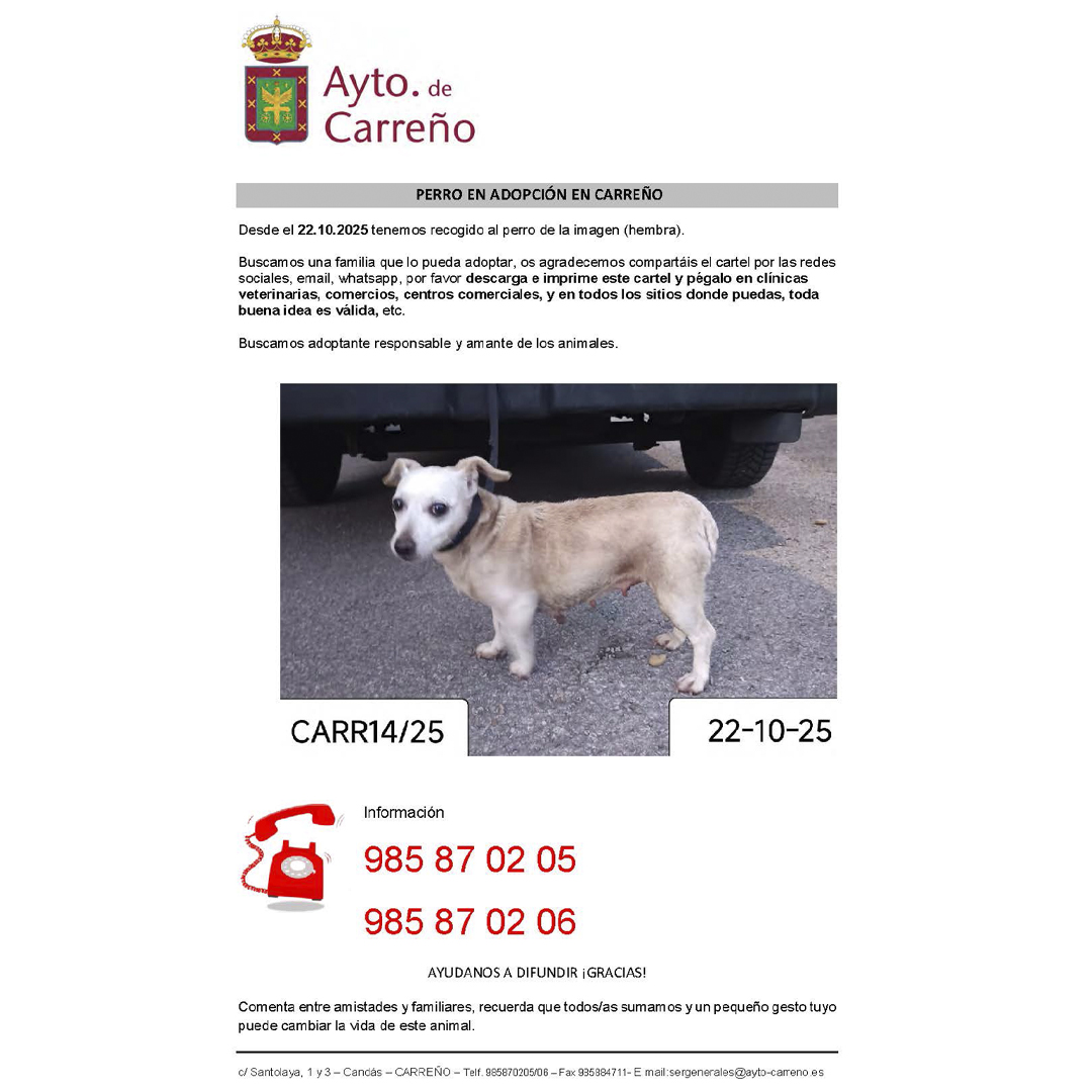 Ayuntamiento de Carreño (@aytocarreno) on Twitter photo 