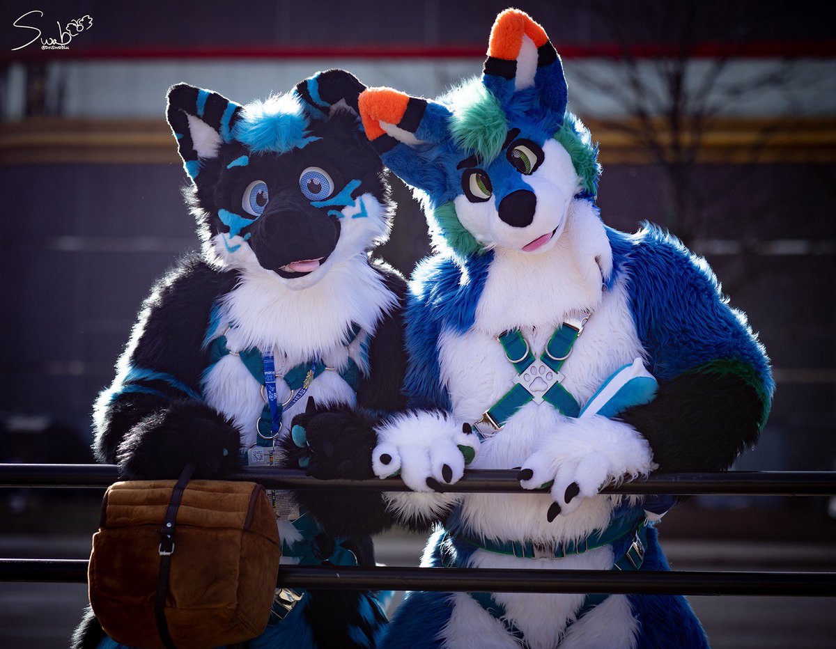 This guys at 999 followers and took some amazing pictures, yall should support him and get him to 1000 <a href="/DrSwablu/">DrSwablu 🔜 MCFC, FE?</a>