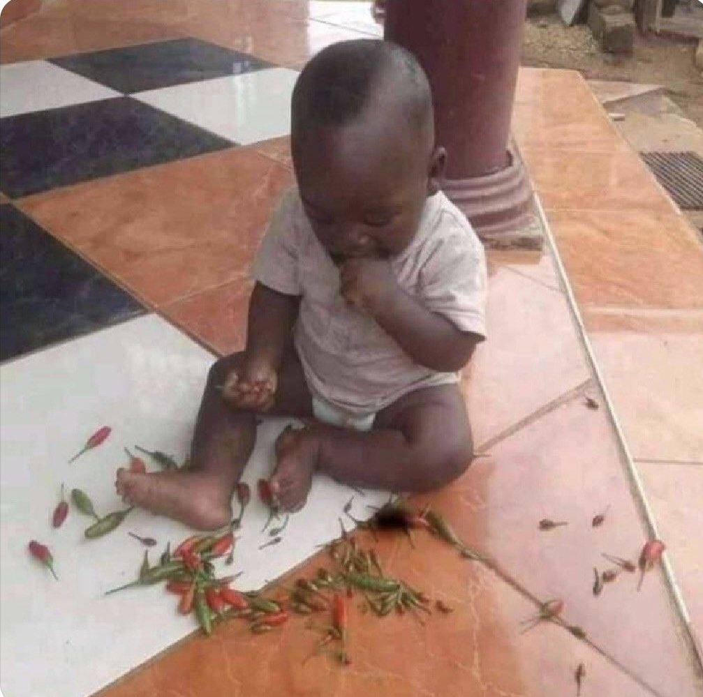 Nestroytimo's tweet image. I have received the DNA results but he is hungry